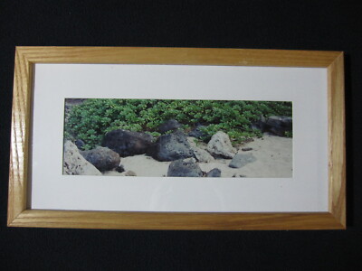 Ka'ena Point Framed Photo