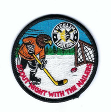Scout Night with the Wheeling Nailers Ice Hoc...