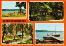 03-c261 postcard goods Müritz Mecklenburg lakes campsite corner firs