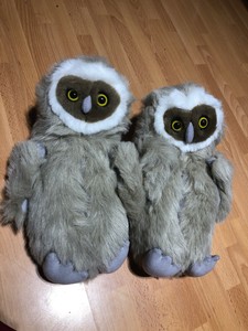 owl slippers