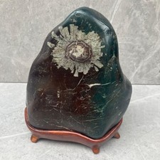 Piedra de Crisantemo Piedra Bonsai Roca Natural con Base 2.6kg 170mm Altura