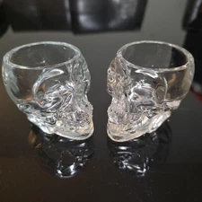 Pair Of 2 Skull Skeleton 2 oz Crystal Head Thick Shot Glasses Halloween Akroyd