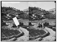 Valley of Jehoshaphat, Joab's Well En Rogel 1920s Old Photo