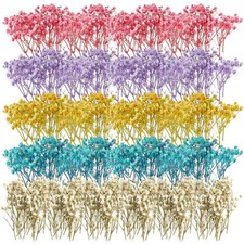 100 Pcs Mini Dried Baby Breath Flowers Gypsophila Ivory Mixed Color Flowers D...