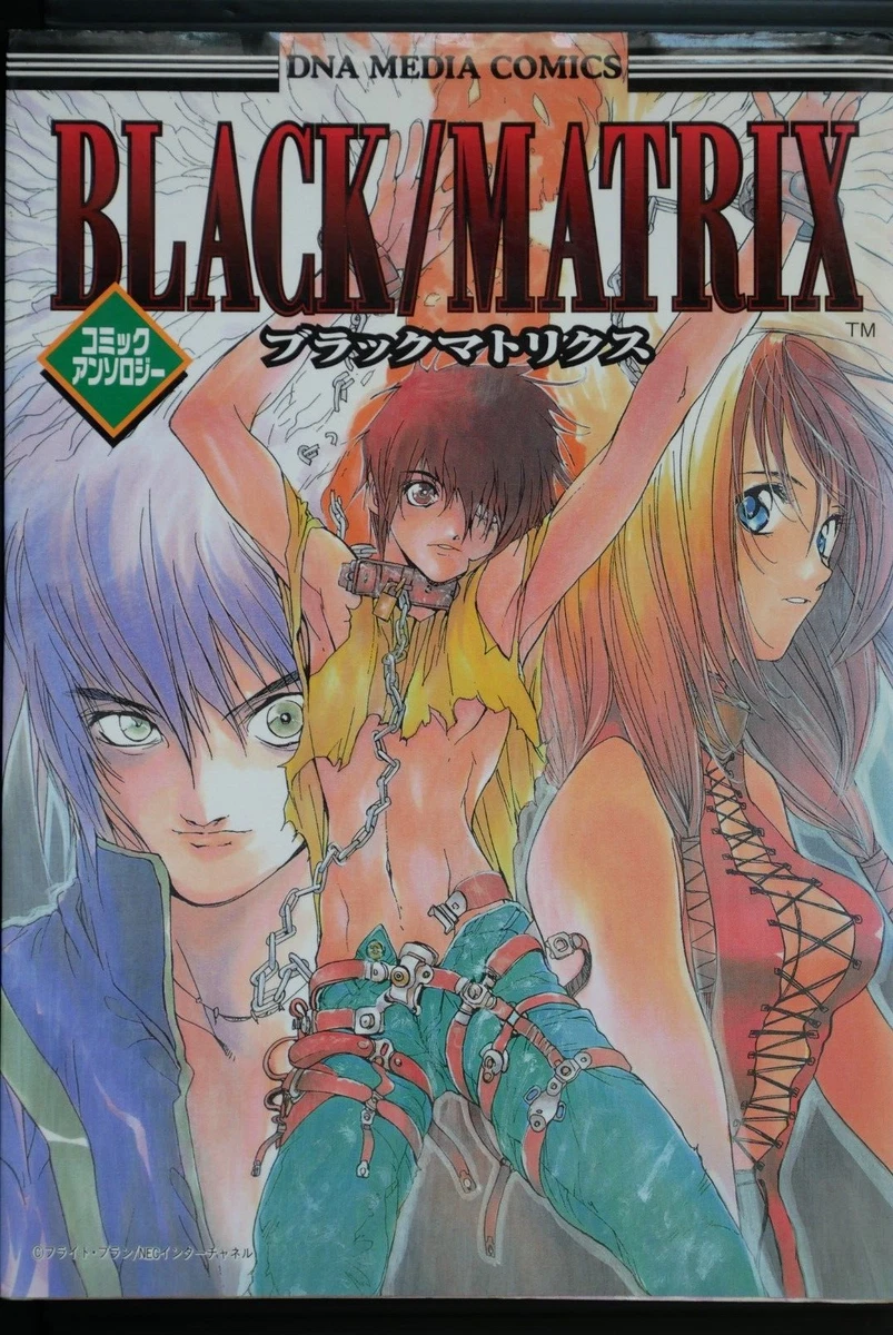 Dead or Alive 2 Comic Anthology Vol.2: Damaged Japanese Manga Series