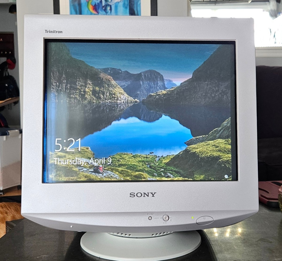 Sony Trinitron CPD-G220R 17