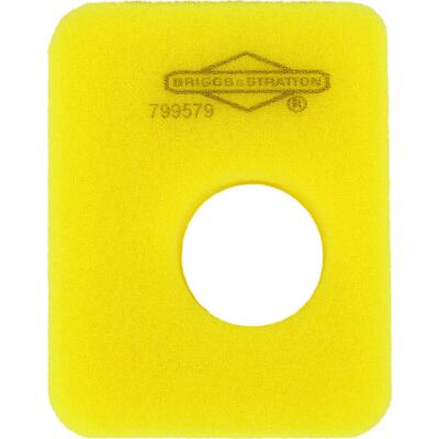 Luftfilter für Motoren BRIGGS&STRATTON 799579 450E 500E 500OHV Briggs B&S