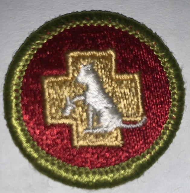 Boy Scout Merit Badge First Aid To Animals H 1972 75(Blue Plastic ) eBay