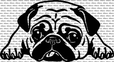 Laying Pug Tongue Sticking Out Car Truck Van Window Vinyl Decal US Made & Sold