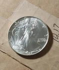 1988 1 oz Silver American Eagle (Brilliant Uncirculated)