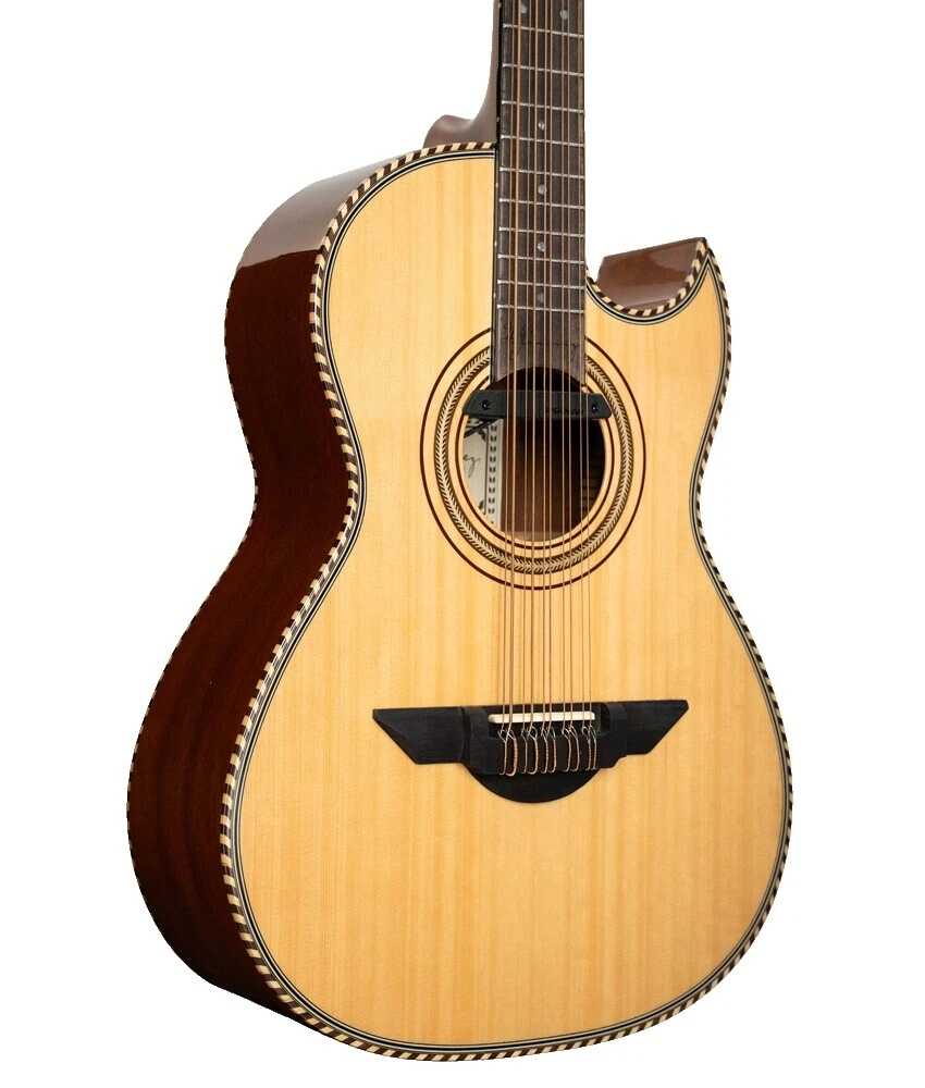 10 String Spruce Body Acoustic Electric Guitars