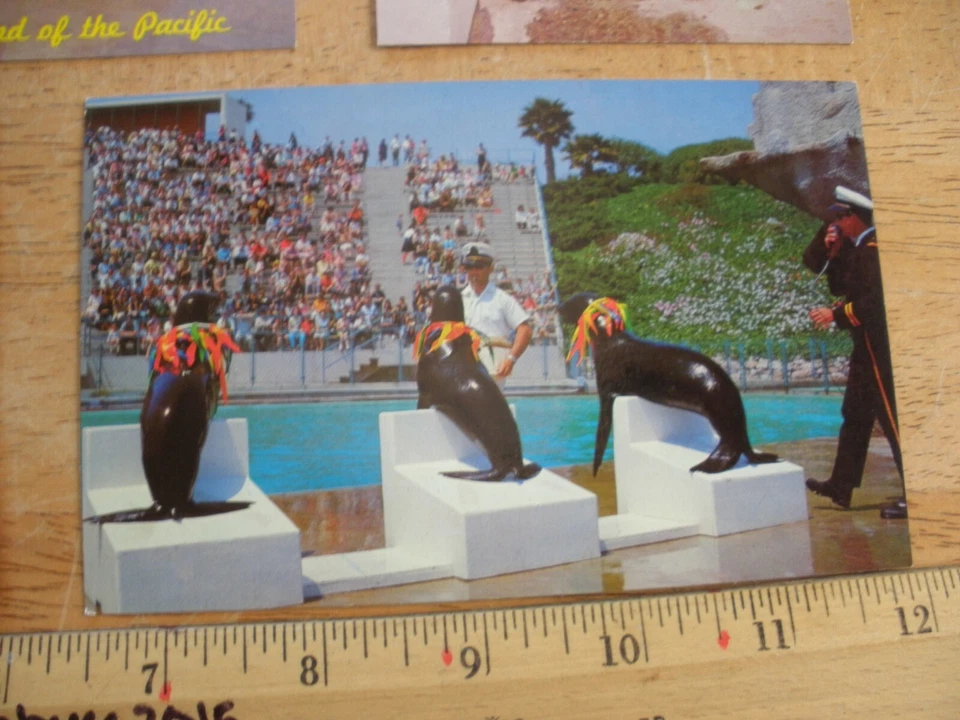 Lote de 6 postales Marineland años 60 buzo ballenas delfines Palos Verdes CA Foto 4 de 4