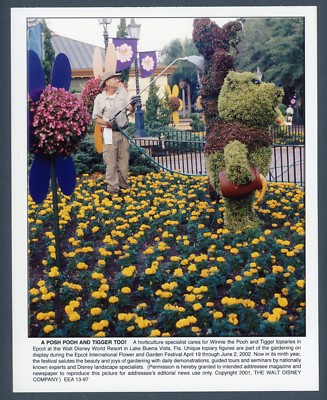 Glossy Disney World Press Photo Pooh And Tigger Too Epcot Flower And Garden Fest