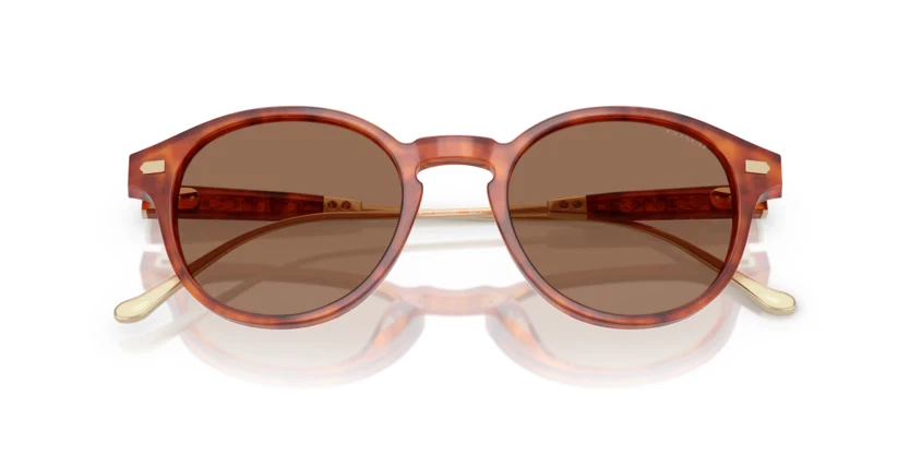 NUEVAS Gafas de sol originales auténticas Coach HC8428U (CAD83) Foto 4 de 4