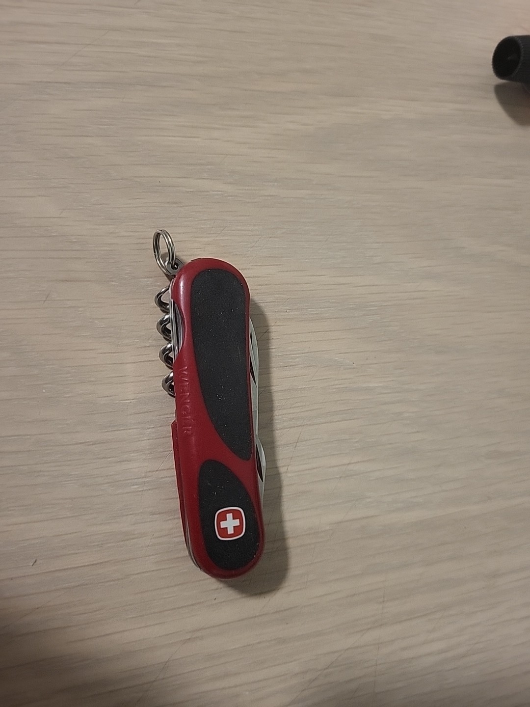 Wenger Delemont Evo 10