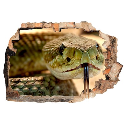 Wall Stickers Snake Tongue Reptile Cool Bedroom Girls Boys Laptop Room D114