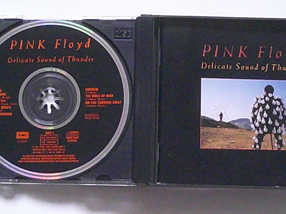 PINK FLOYD: DELICATE SOUND OF THUNDER - DoCD - - Bild 3 von 4