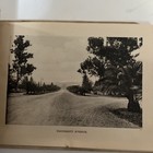 Picture 4 of 12