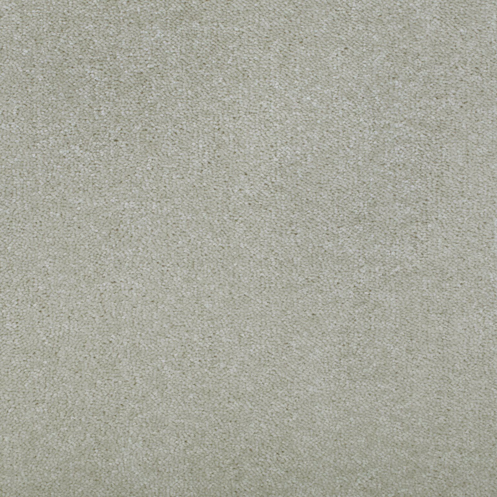 Cream Carpet, Cheap Cream Carpets, Twist & Saxony Pile Cream Carpets