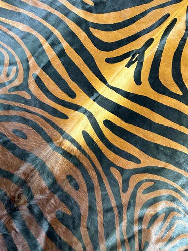 Zebra Cowhide Rug (Brown Background, A Bit of White on Belly) 7.2x6.5 feet O-342 - Picture 4 of 5