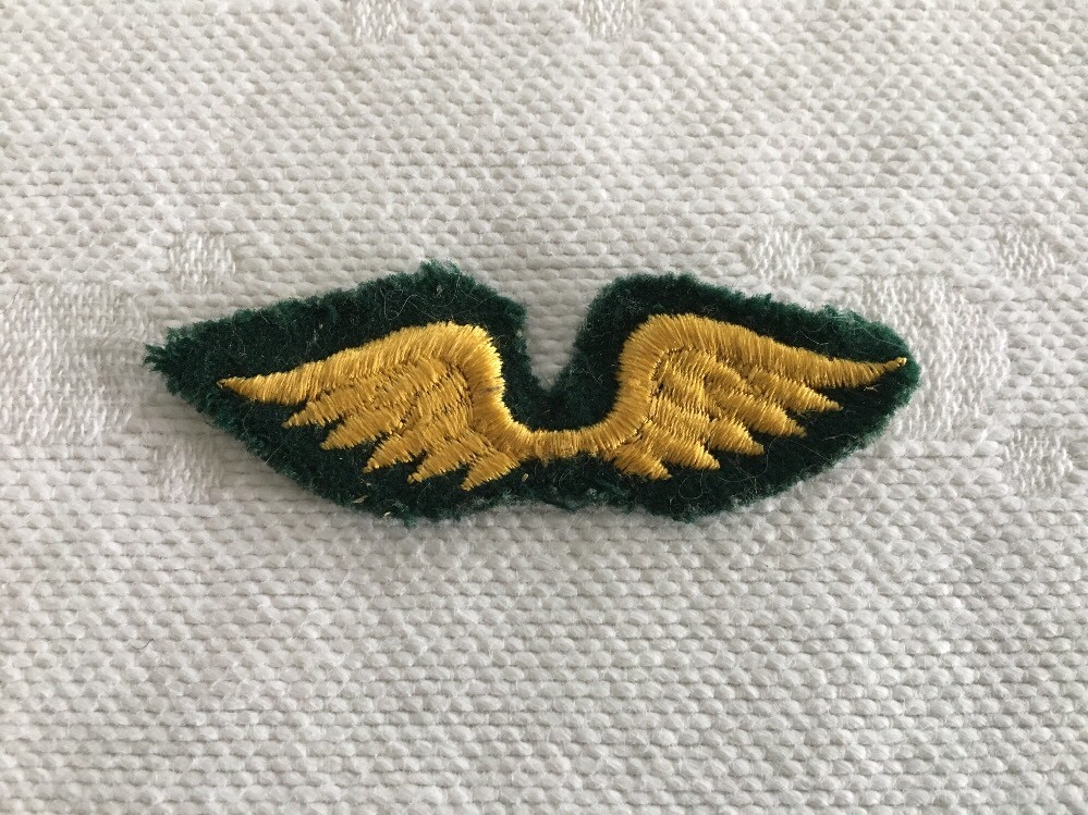 Vintage Brownies Felt Patch Wings Green & Gold Fly Up To Girl Scouts eBay