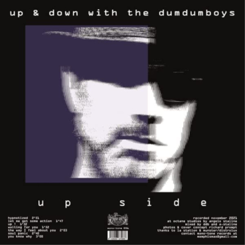 Dum Dum Boys Up & Down With the Dum Dum Boys (Vinyl LP) 12" Album