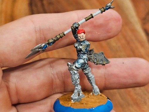 Hordas Warmachine Mercenarios Fiona la Negra METAL Pintado MC139 brazo faltante - Imagen 16 de 17