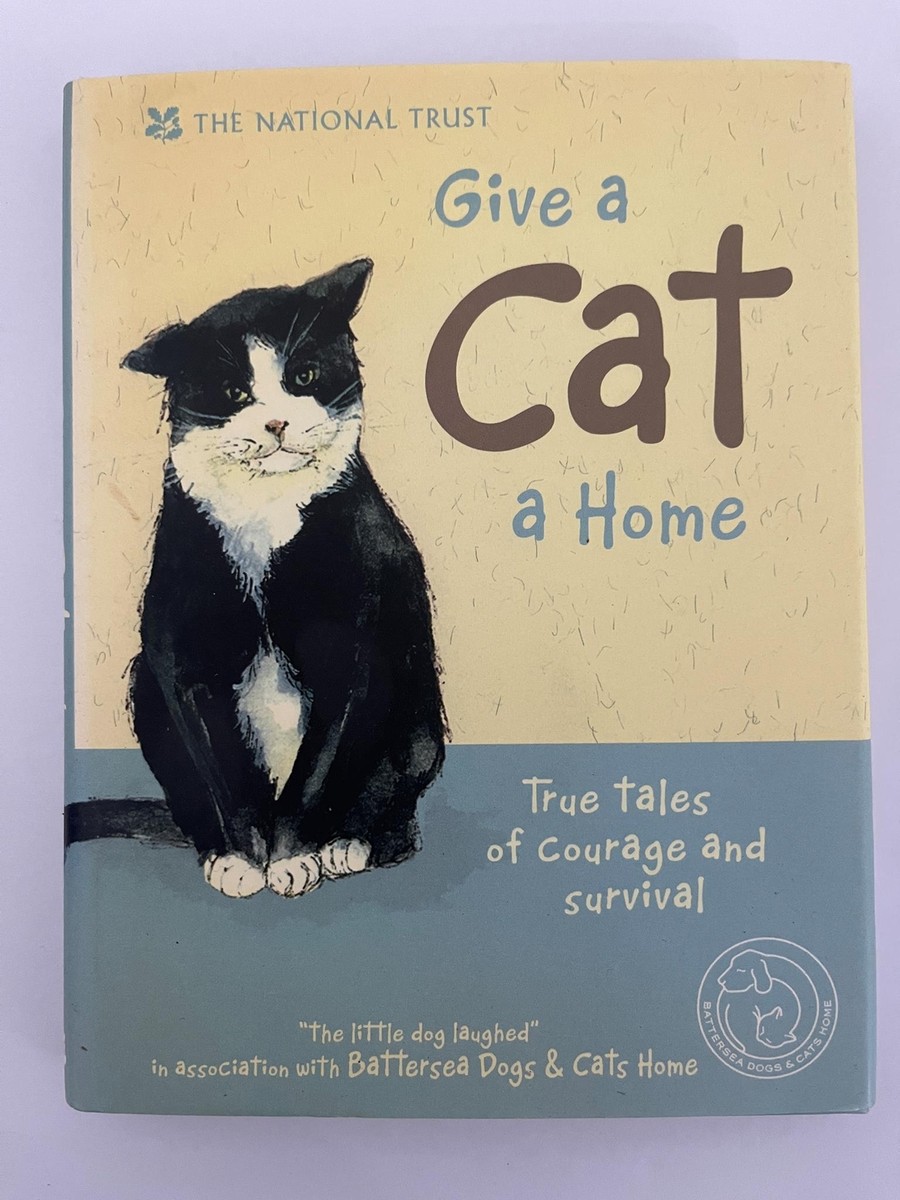 Adoption Event 24 Hour Cat Rescue Near Me Local Cat Adoption Near