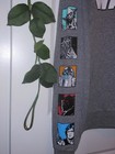 Bild 3 von 5