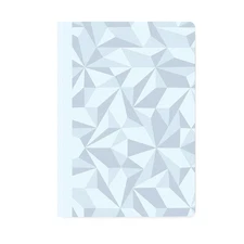 Caran d'Ache Lined Notebook in Alpine Frost - A5 - NEW