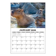 2026 Calendar Capybara Wall Hanging Calendar 13-Month Month To View Calendar