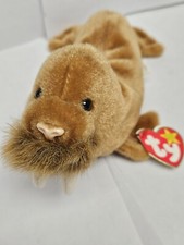 Ty Beanie Baby Paul the Walrus DOB February 23, 1999 MWMT With Original Tag