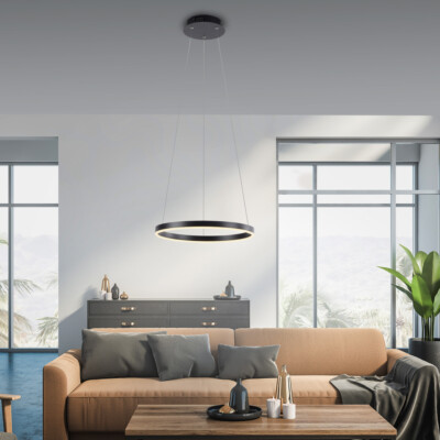 Pendellampe 40cm anthrazit rund dimmbar per Wandschalter LED warmweiß Hängelampe