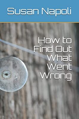 How to Find Out What Went Wrong Susan Devine Napoli New Book 9781728877853