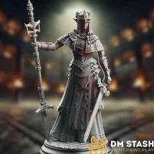 Female Eldritch Knight Dnd Mini | Paladin RPG Mini | Resin Figure | By DM Stash