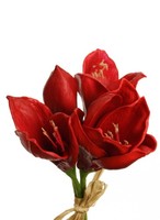 KüNstliche Amaryllis Real Touch Rot 4Er Bund 30Cm Kunstblumen Winterdeko