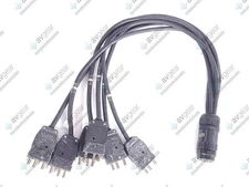 (2) F 19-Pin Socapex to (6) M Stage Pin Fan Out Cables(C1917-352)