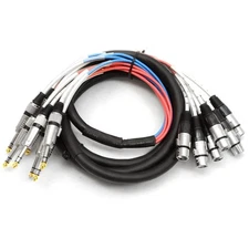 SAXT-8x10F - 8 Channel 10' XLR Female to/4 TRS Snake Cable