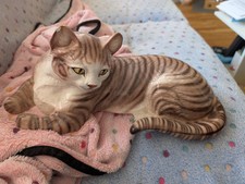 Sammler Porzellan Keramik Figur Katze Liegend