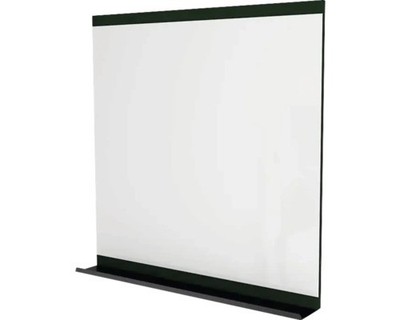 Spiegel mit Ablage Devo Viva 2.0 BxHxS 85x85x12 cm conifer green supermatt/black