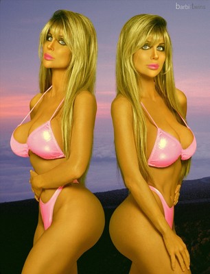 SHANE & SIA BARBI TWINS 8x10 8 x 10 BIKINI PICTURE PHOTOGRAPH | eBay