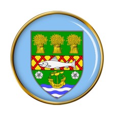 County Down (Northern Ireland) Pin Badge