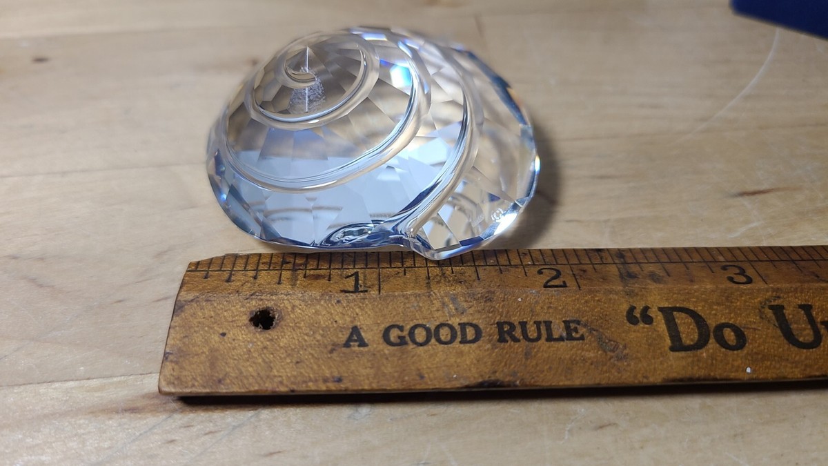 Swarovski Crystal Wonders of the Sea Snail Shell #880693 w