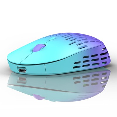 RAPIQUE Bluetooth Wireless Mouse Dual Mode Rechargeable Silent Computer Mice ...