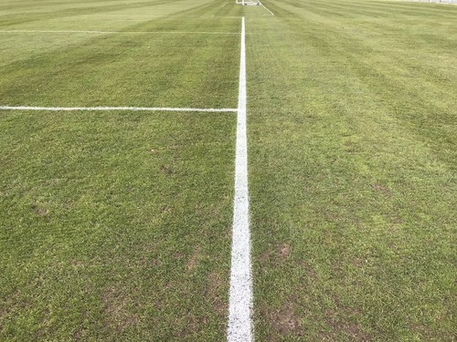 5. X 10 Litres brightline White 3/1 Concentrate Marking Paint, Football/Rugby. - Picture 2 of 3