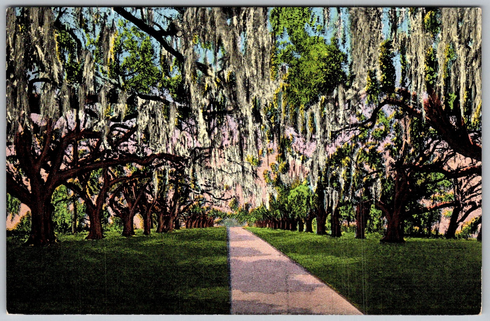 Vtg Linen Postcard DE Ronde Live Oaks New Orleans, LA 1930s