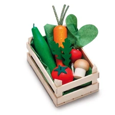 Erzi 28241 Assorted Vegetables Play Toy, Small, Multicoloured