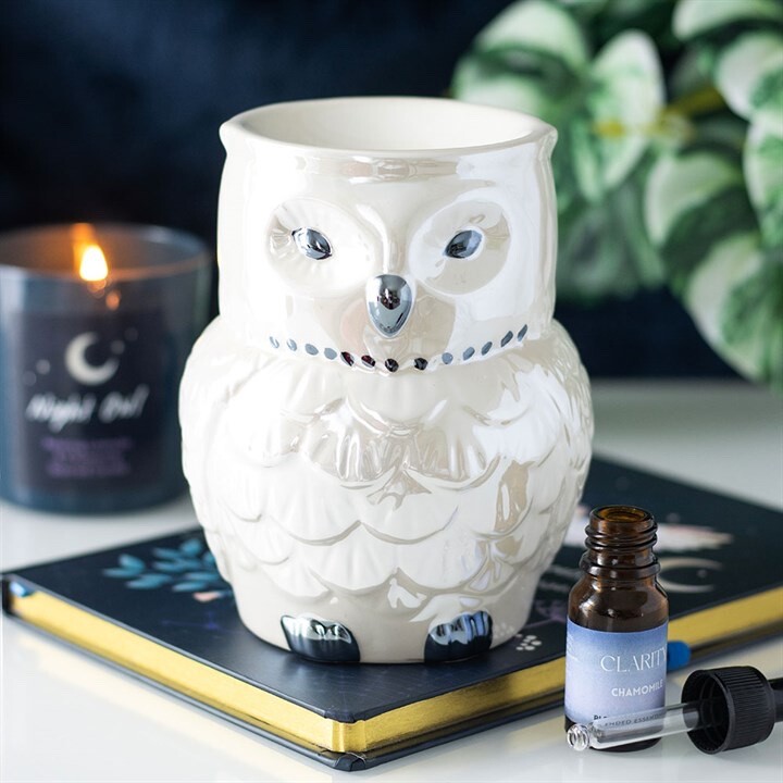 Owl Shaped Iridescent Oil Burner and Wax Warmer. Mystical Home Fragrance Gift.