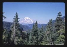 8" x 10" Photo Mt. Rainer From Rt. 12 northwest of Yakima, Washington 1987