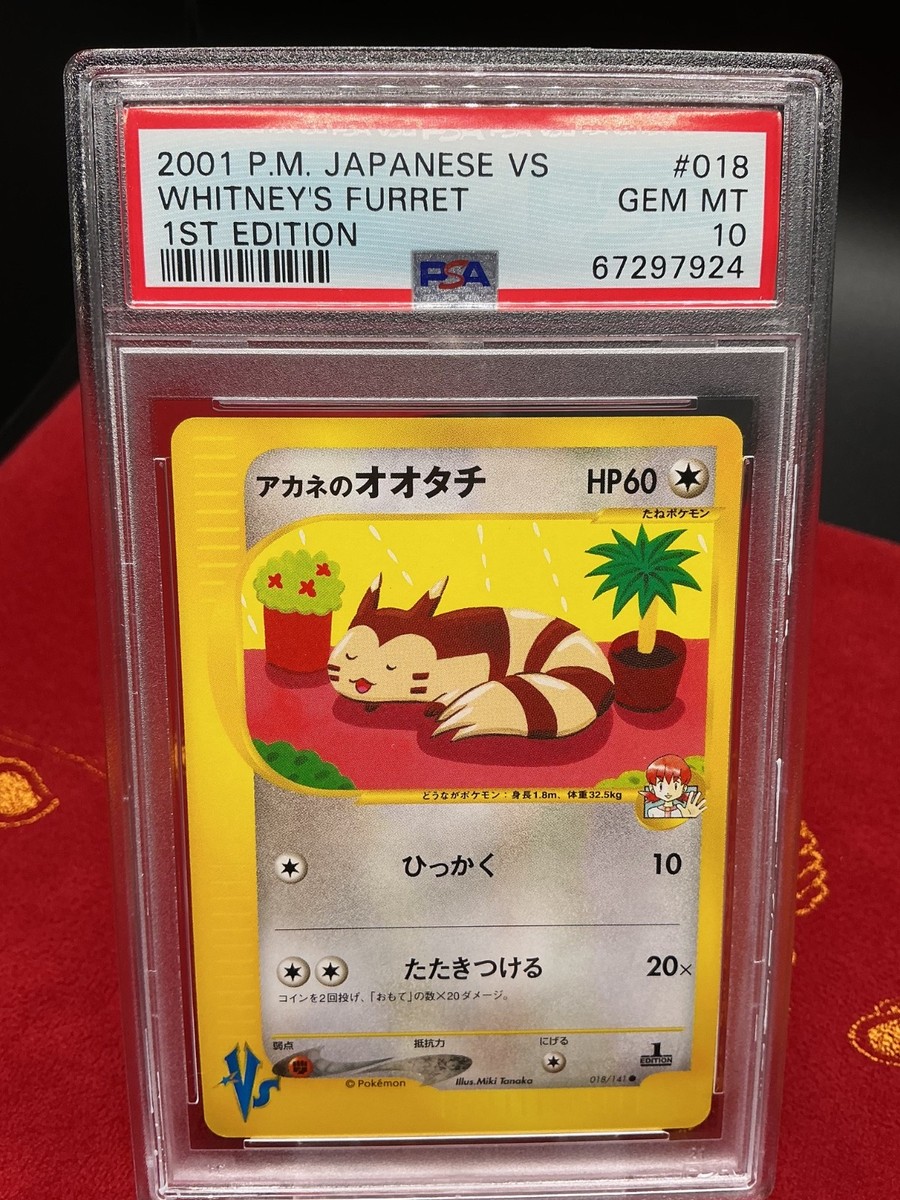 Whitney's Furret 018/141 Pokemon VS Japanese 2001 1ST ED PSA 10 | eBay